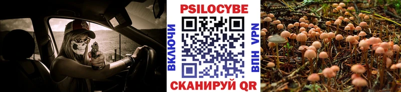 KRAKEN ссылки  Углегорск  Псилоцибиновые грибы мицелий 